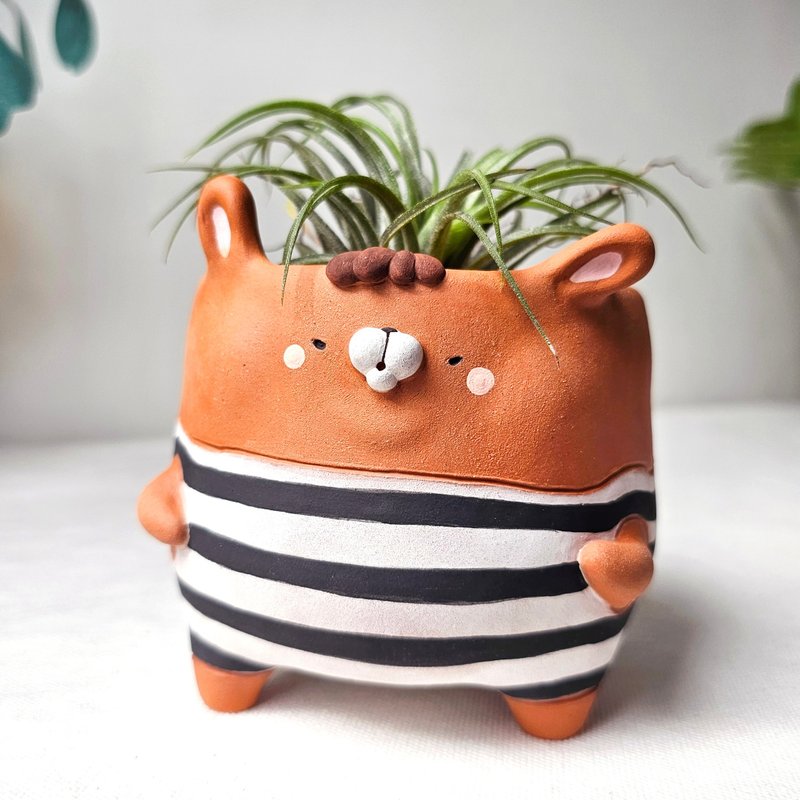 Bunny bandit planter. Handmade terracotta 花 - 花瓶/陶器 - 陶 