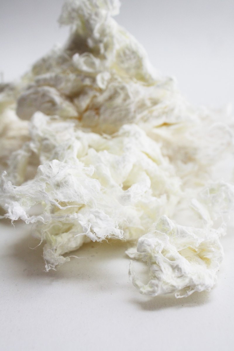 白色楮皮干纸浆 - 木工/竹艺/纸艺 - 木头 白色