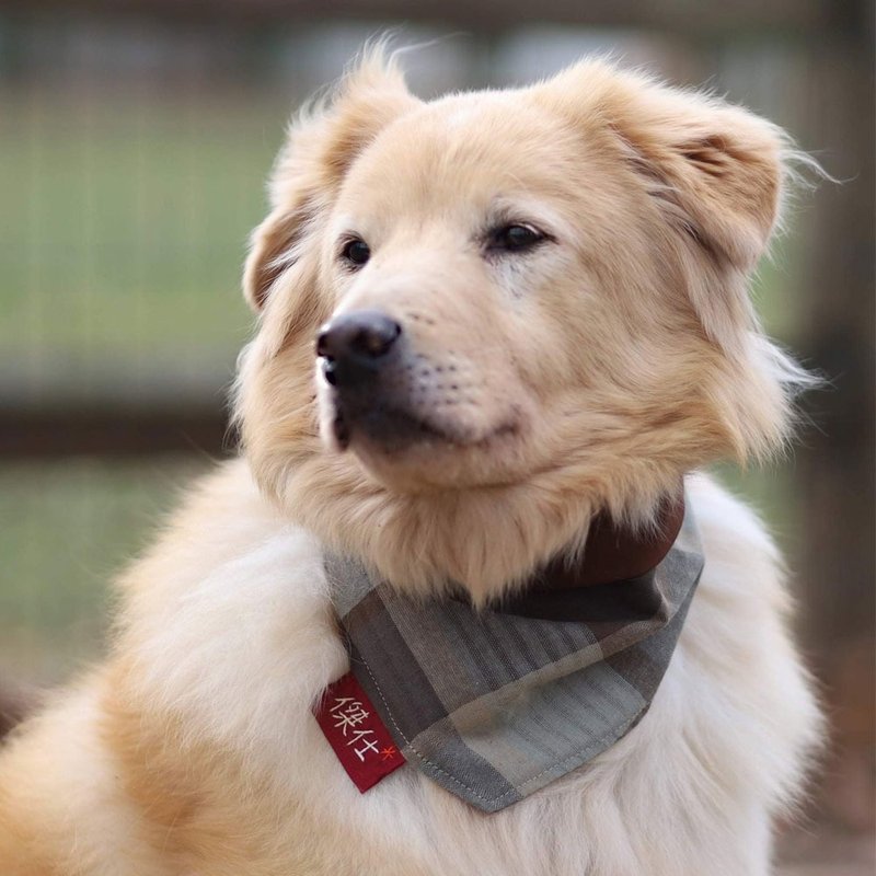 狗狗专属名领巾-定制化(大型犬)- 驼色方格 - 项圈/牵绳 - 棉．麻 卡其色