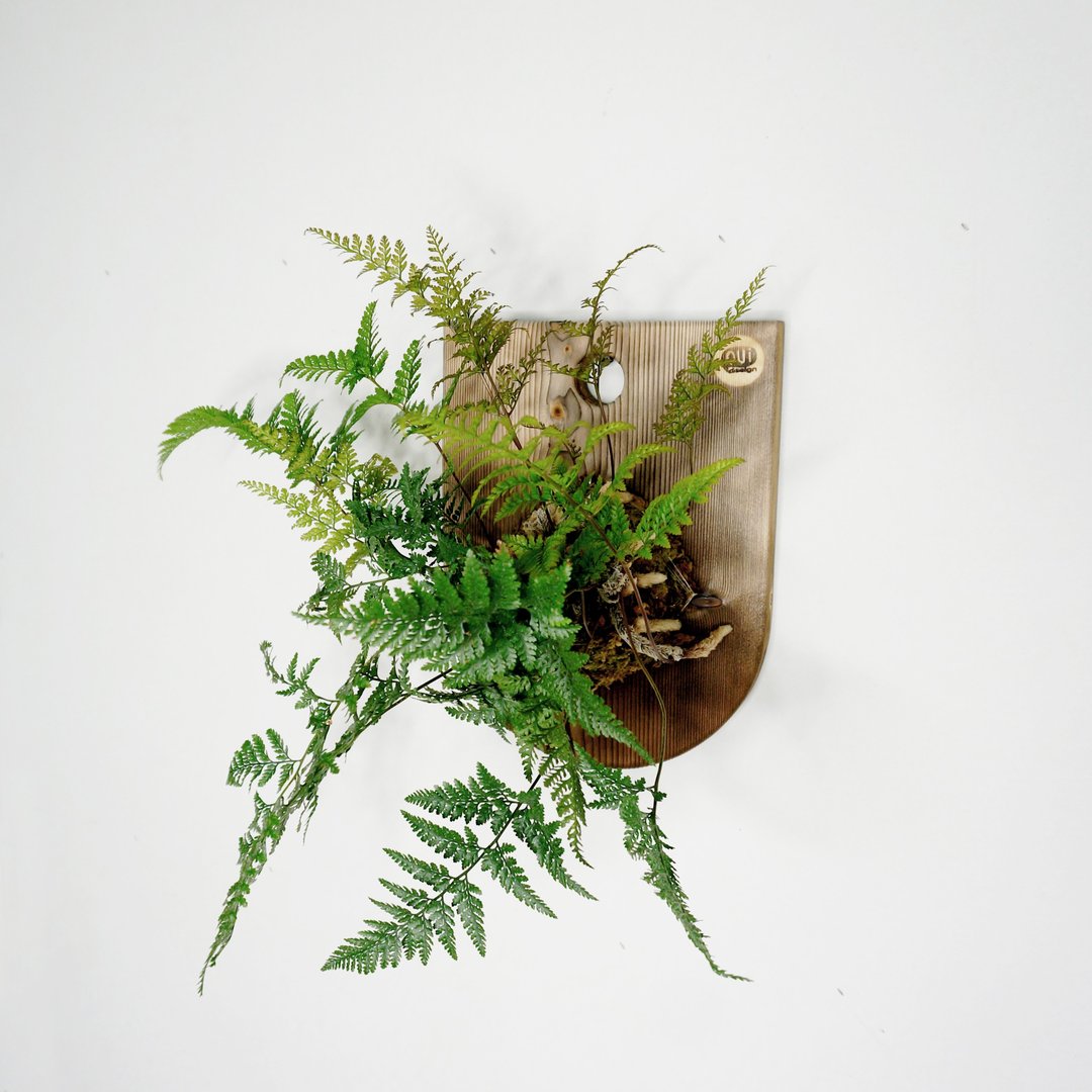 微一设计 / 壁挂式上板植物 - 兔脚蕨 - 植栽/盆栽 - 植物．花 绿色