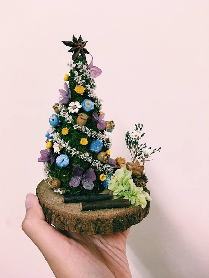 Sapin de Noël No.2 - 植栽/盆栽 - 植物．花 