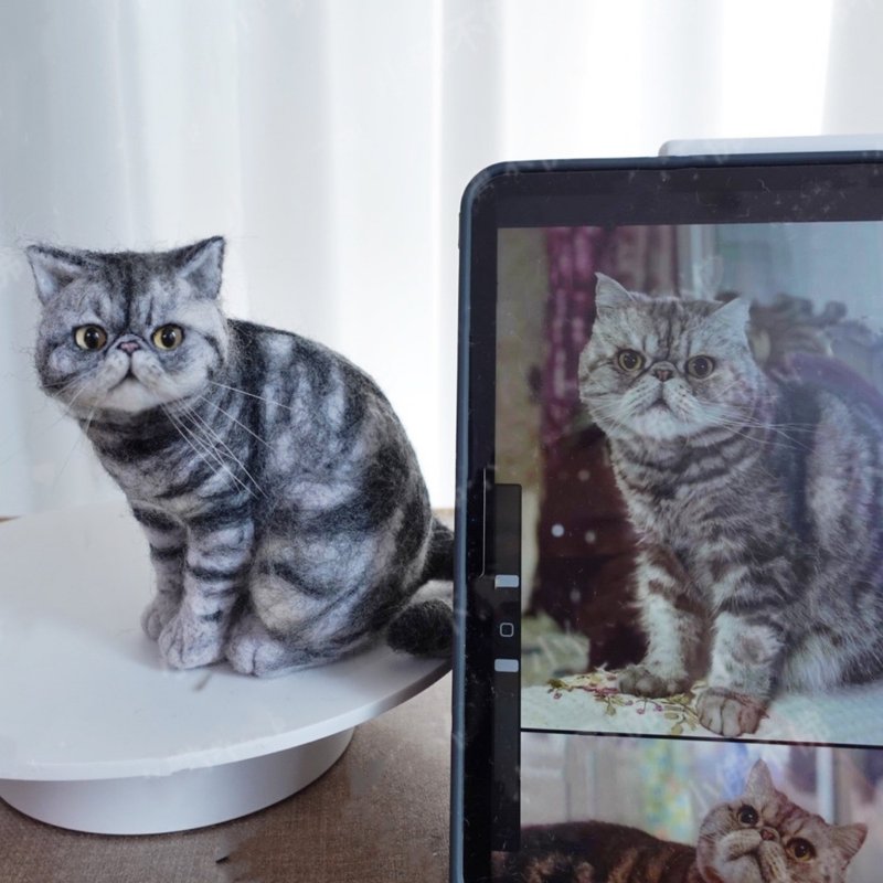 定制化礼物 逼真猫猫 羊毛毡 毛孩 宠物 娃娃 猫咪猫奴 似颜绘 a1 - 玩具 - 羊毛 多色