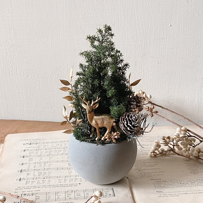 永生雪松 圣诞小树 - 干燥花/捧花 - 植物．花 绿色