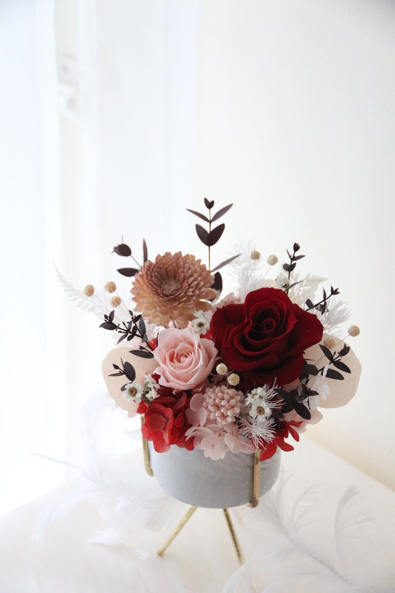 【永生花礼】永生花盆栽 开幕贺礼 干燥花 干燥花桌花 永生玫瑰 - 干燥花/捧花 - 瓷 红色