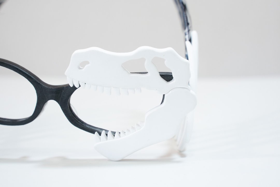 dinosaur glasses - 眼镜/眼镜框 - 塑料 