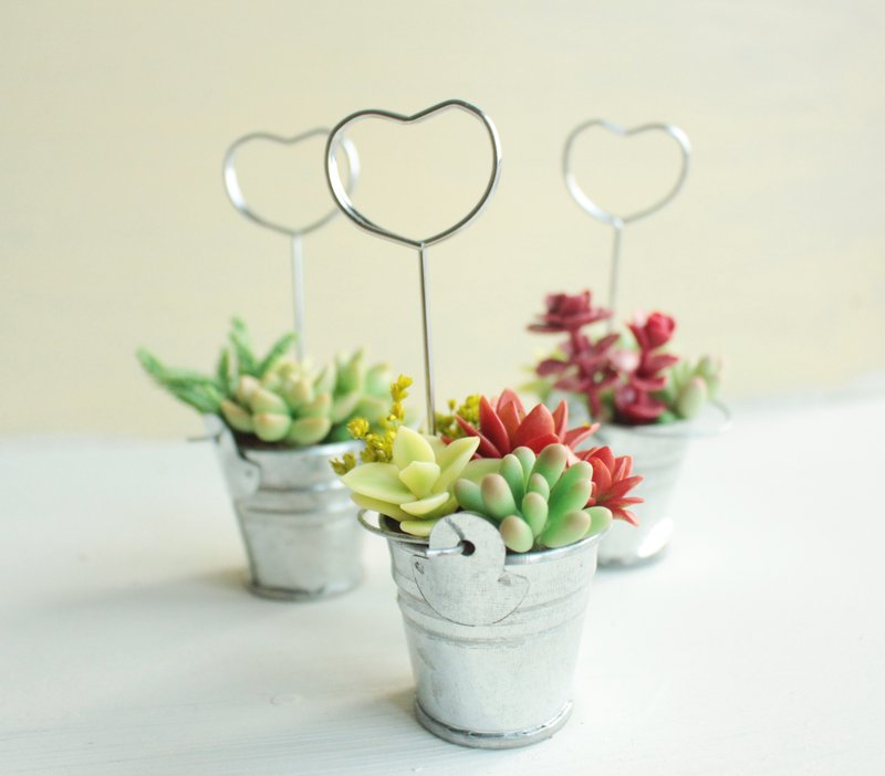 办公室 疗愈 多肉组盆小铁桶 - 植栽/盆栽 - 粘土 绿色