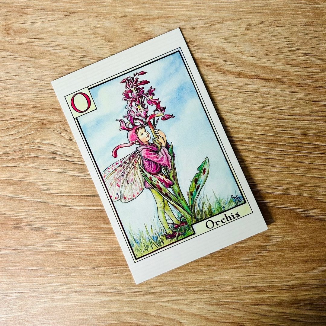 花仙子 字母系列 经典明信片 - Orchis/ 兰花 - 卡片/明信片 - 纸 
