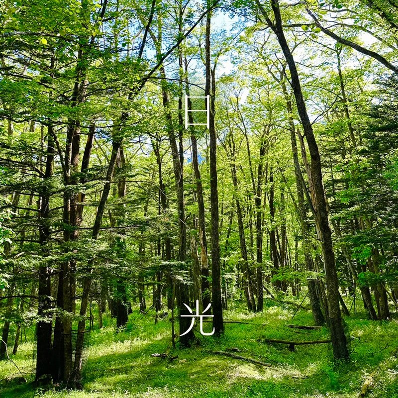 日光旅程印象薰香盐【 澄光初启 】 | 清爽 | 洁净 | 透亮轻盈 | - 香薰/精油/线香 - 精油 绿色