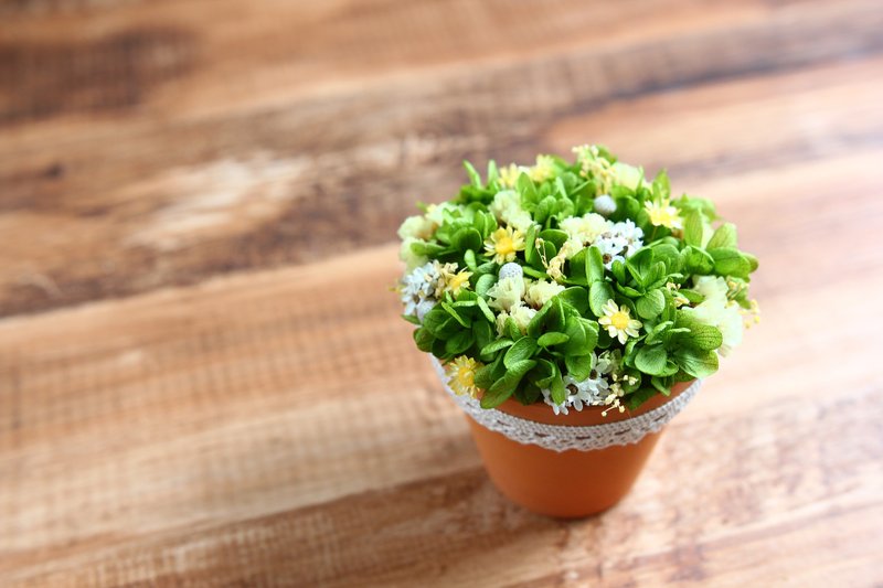 │干燥花小盆栽│♥ Tinkbell绿意干燥花小盆栽♥ 婚礼小物 ♪可定制化♪ - 植栽/盆栽 - 纸 绿色