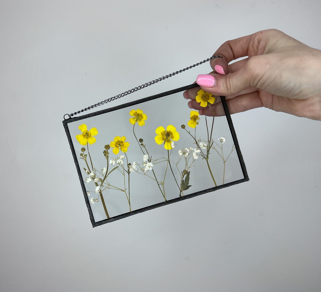 Buttercups Yellow Flowers Framed Dried Flowers Herbarium Frame - 墙贴/壁贴 - 玻璃 黄色