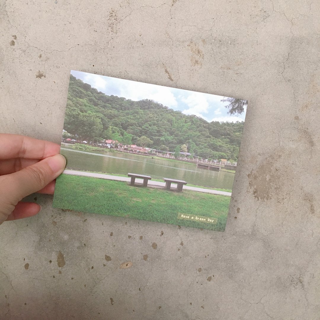 Have a Green Day 明信片 出去郊游 日常摄影/字 - 卡片/明信片 - 纸 