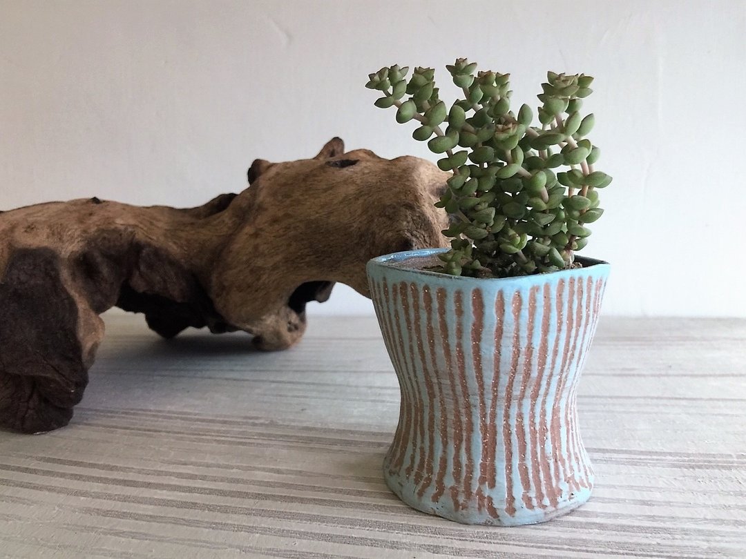 腰身曲线多肉盆器_陶器花器盆栽 - 植栽/盆栽 - 陶 蓝色