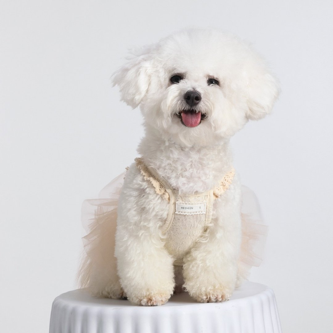 宠物杏色网纱裙舒适轻盈小型犬猫咪薄款公主风连衣裙 - 衣/帽 - 其他人造纤维 