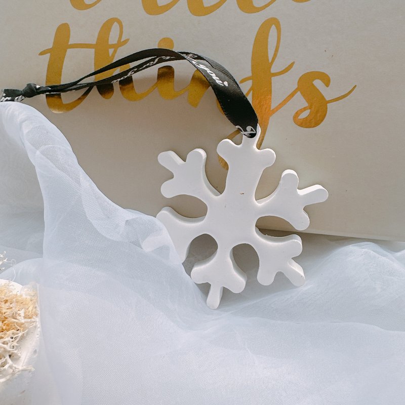 耶诞雪花 扩香石 干燥花盆 永生盆花 圣诞礼物 交换礼物 花礼 - 香薰/精油/线香 - 植物．花 银色