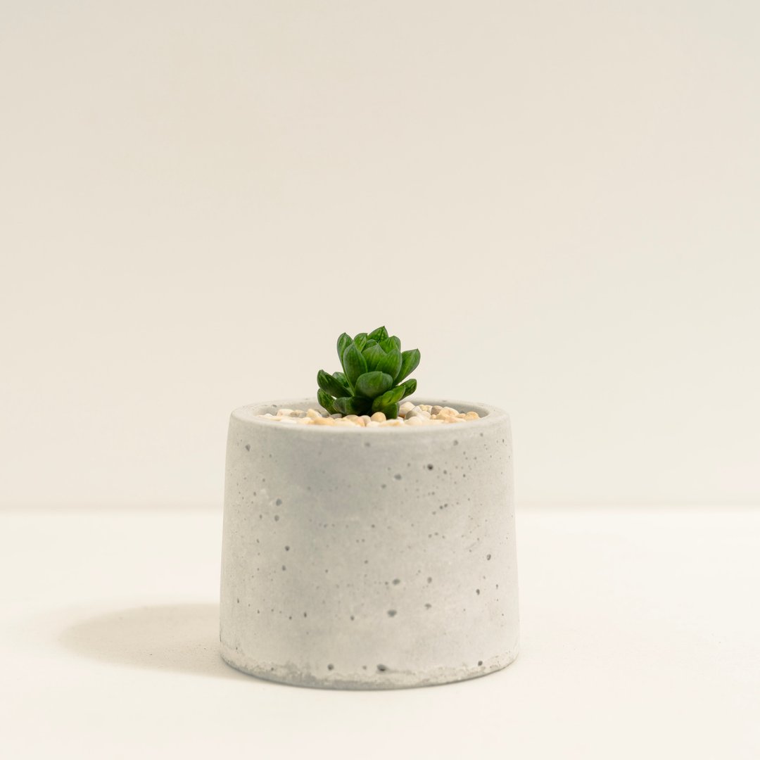 水晶殿 │泥作系列│福所栽 - 植栽/盆栽 - 水泥 绿色