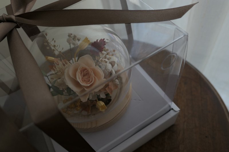 【好花】 香槟奶油色玻璃永生玫瑰花球 玻璃花盅 - 干燥花/捧花 - 植物．花 