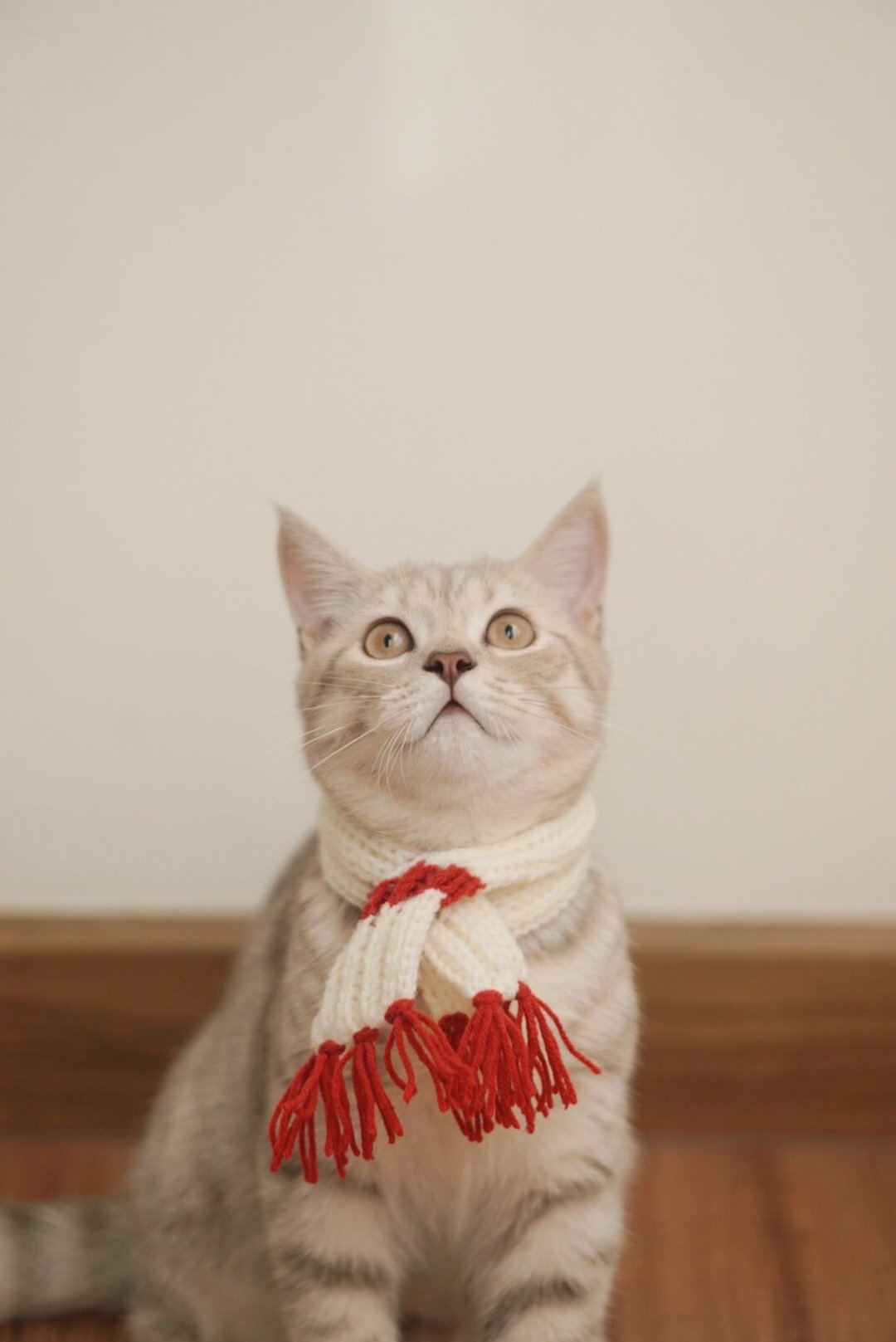 pet scarf Hand-knitted crochet version - 项圈/牵绳 - 其他材质 白色