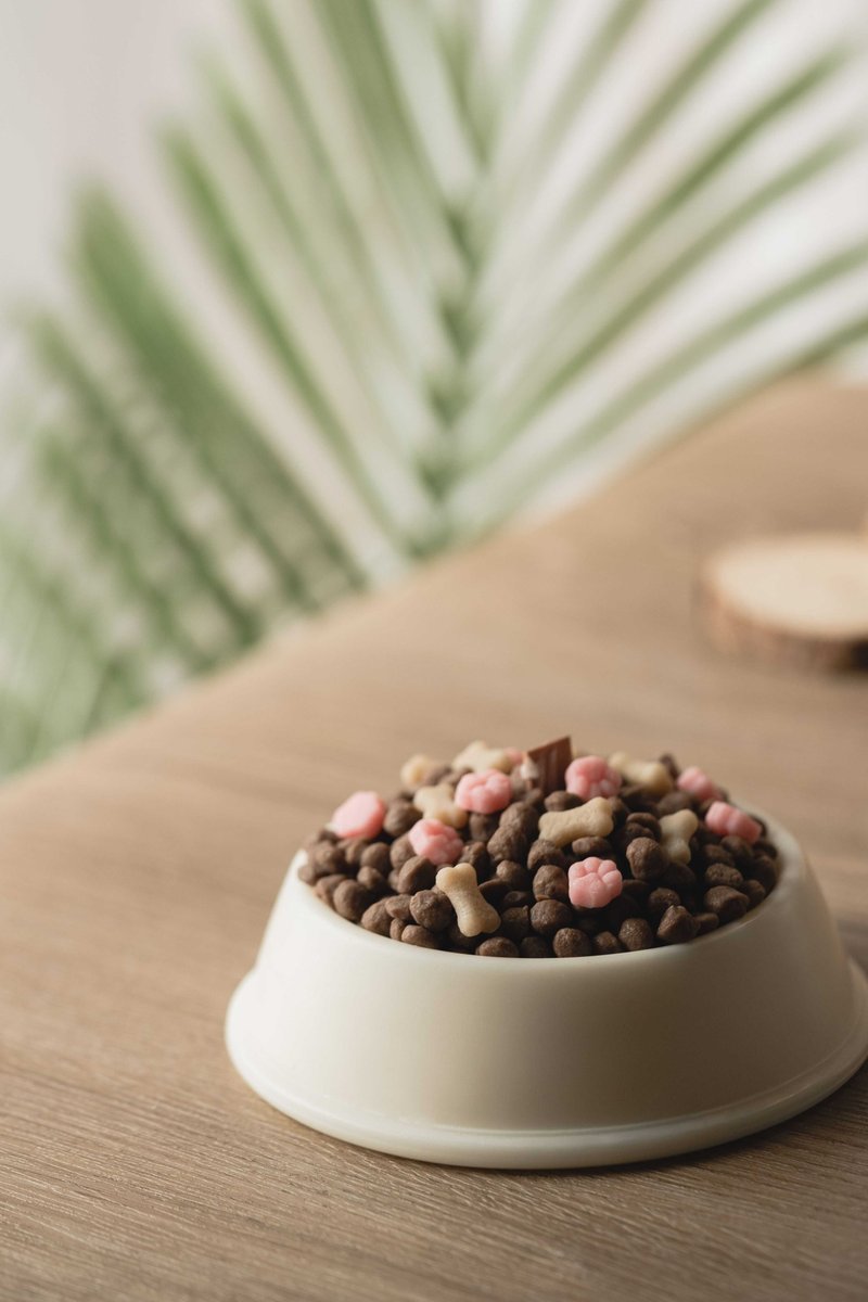 造型香草干干• 毛孩飨宴蜡烛 - 蜡烛/烛台 - 蜡 多色