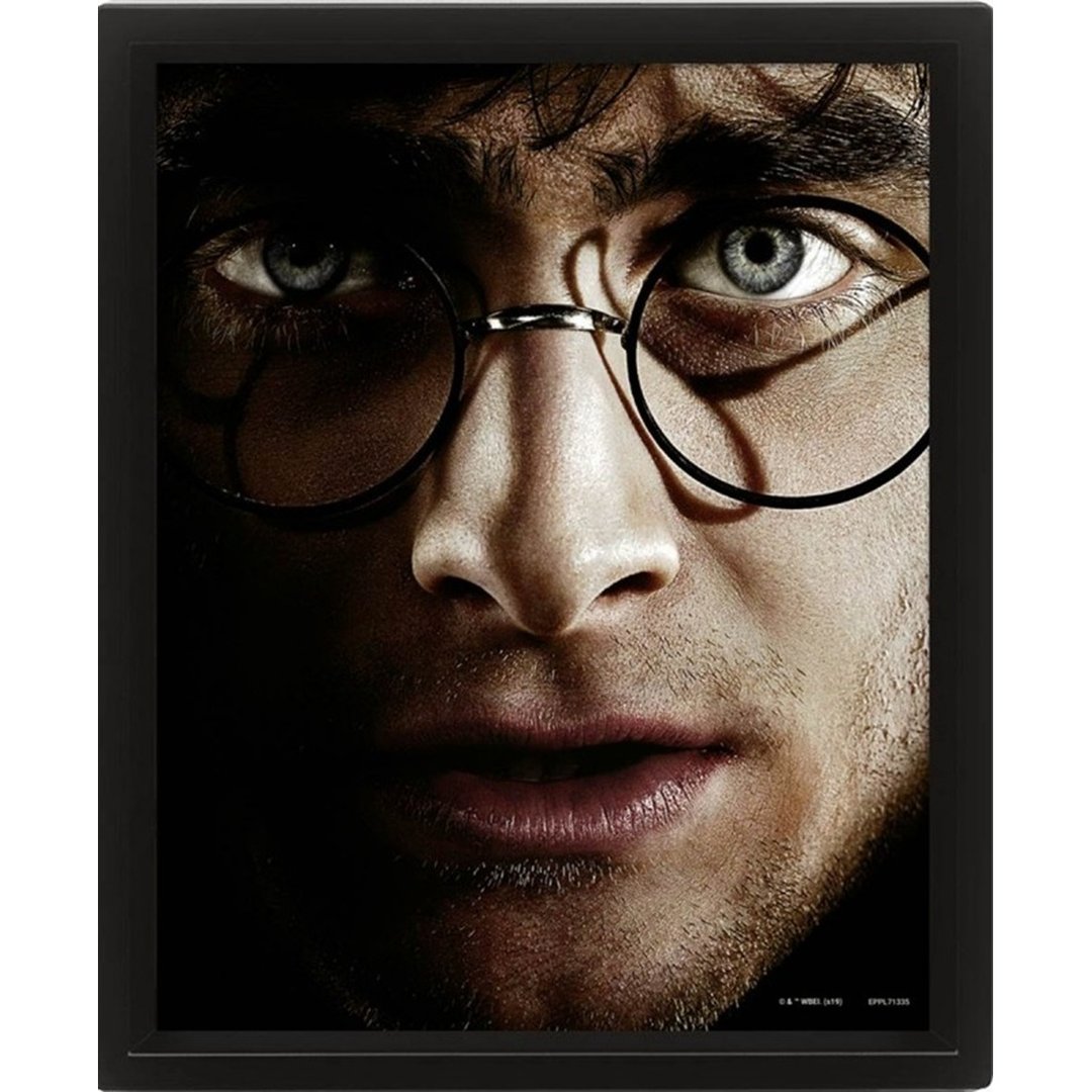 【哈利波特】哈利波特&佛地魔 3D海报 Harry Potter(含框) - 海报/装饰画/版画 - 塑料 