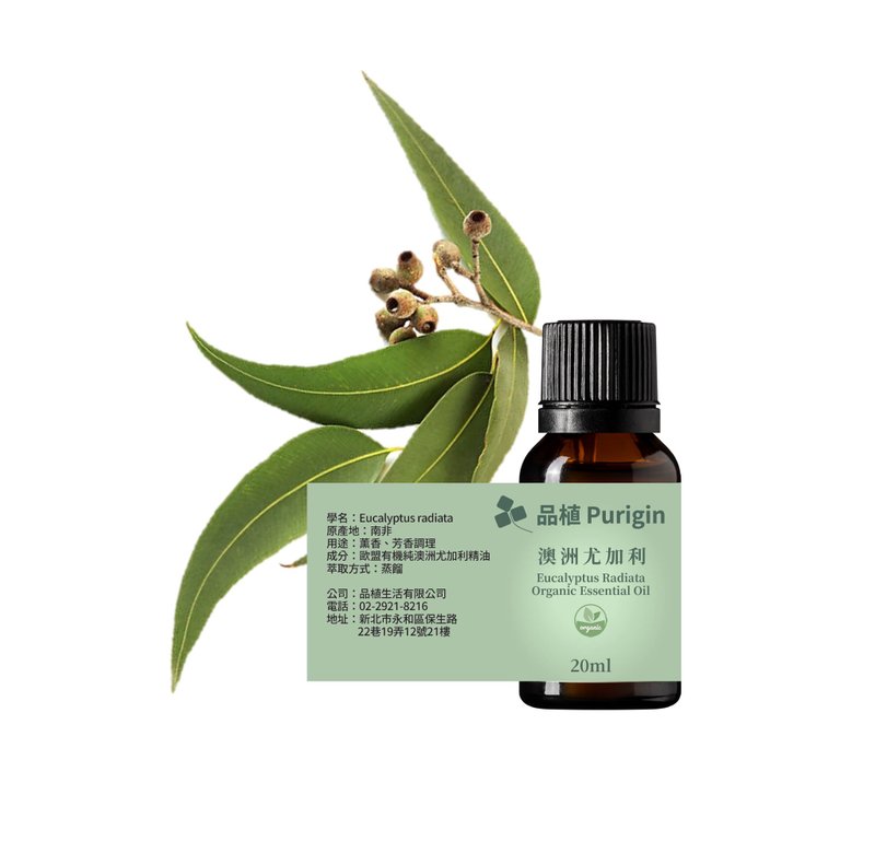 品植Purigin 澳洲尤加利 欧盟有机精油 - 香薰/精油/线香 - 精油 
