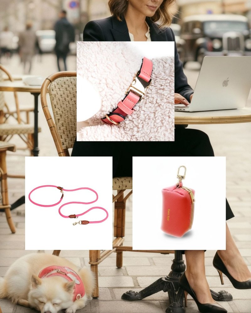 圣诞宠爱真皮3合1奢华套装 - 手工项圈 • 多变牵绳 • 时尚拾便 - 项圈/牵绳 - 真皮 粉红色