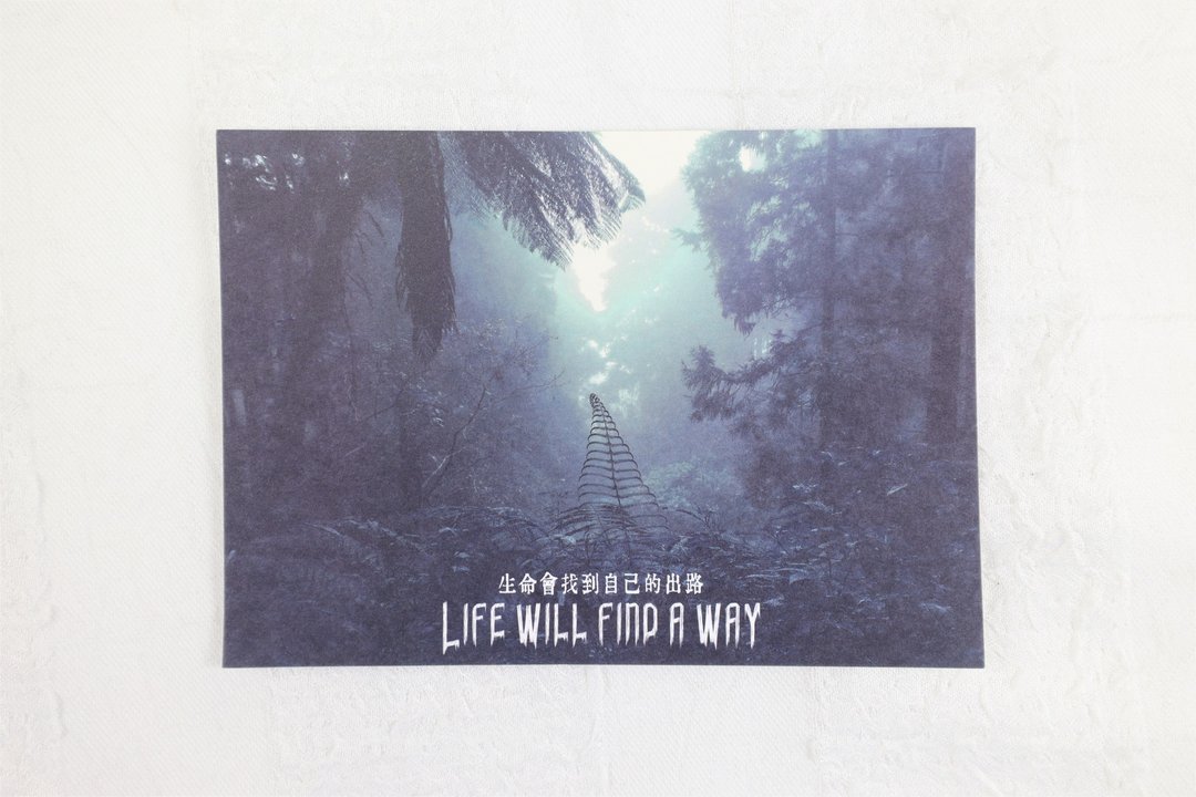 Life will find its way 生命将找到出路 - 卡片/明信片 - 纸 