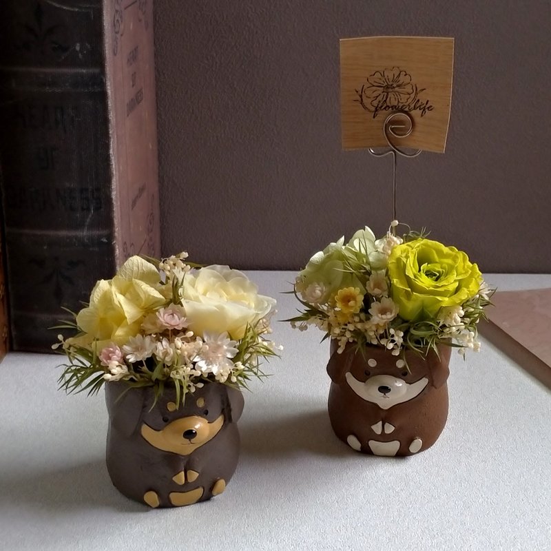 【汪汪│腊肠】memo夹桌花│永生花│干燥花 - 干燥花/捧花 - 植物．花 