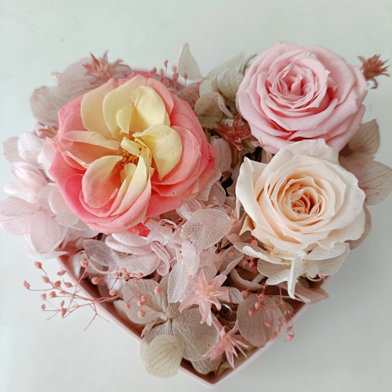 粉桃喜爱心玻瑰花 结婚捧花永生干燥花毕业谢师礼物生日毕业礼物 - 干燥花/捧花 - 植物．花 多色