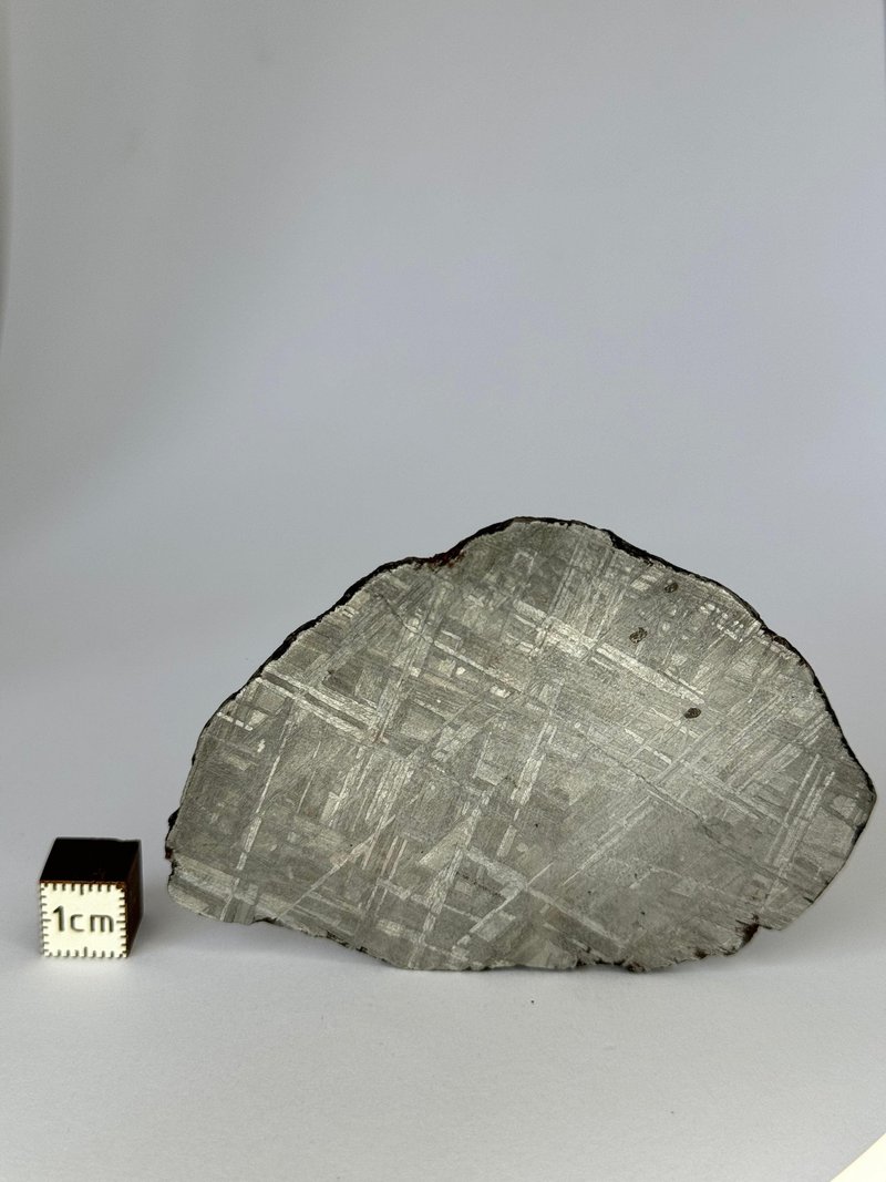 Muonionalusta陨石 瑞典。69,77克切片。 - 摆饰 - 其他材质 