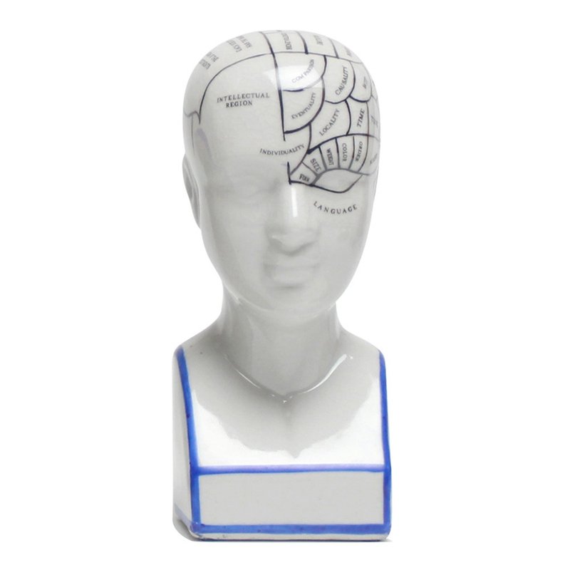 颅相学陶瓷人头(小) - 其他 - 其他材质 