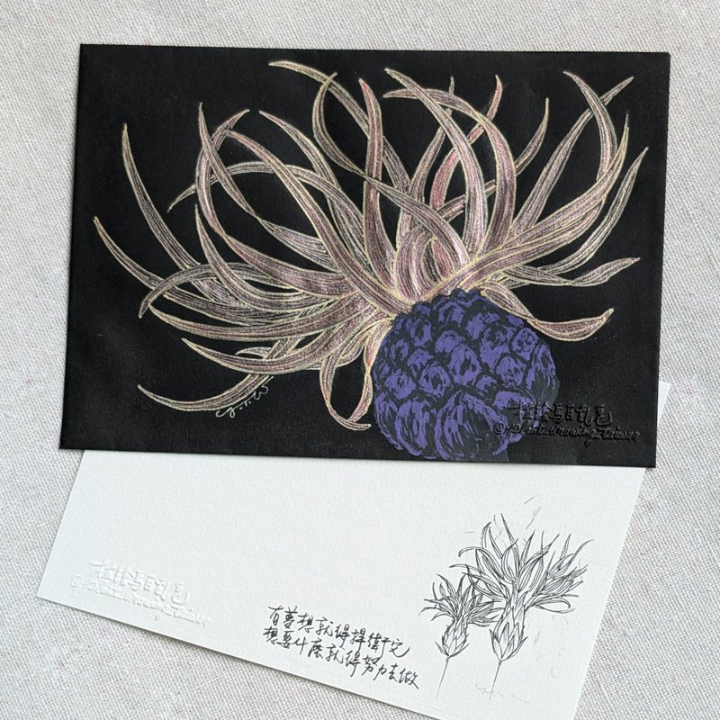 矢车菊 欧式信封卡片组 / 亲笔手绘 - 卡片/明信片 - 纸 