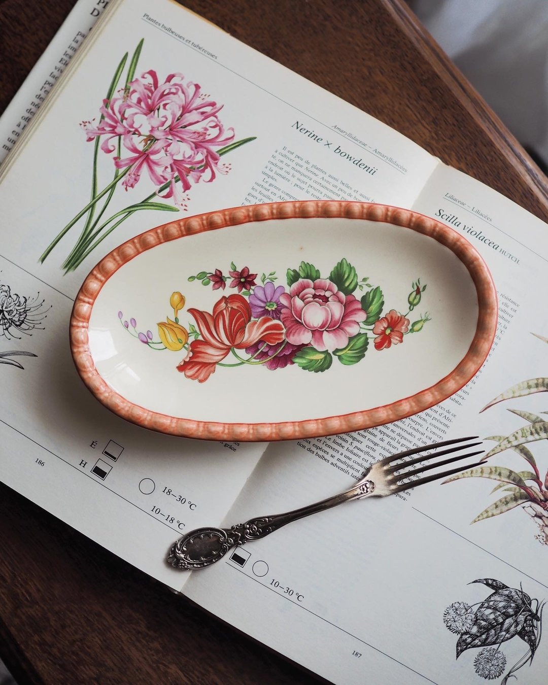 德国复古 Villeroy and Boch 珊瑚色花卉图案餐盘 - 盘子/餐盘/盘架 - 陶 粉红色