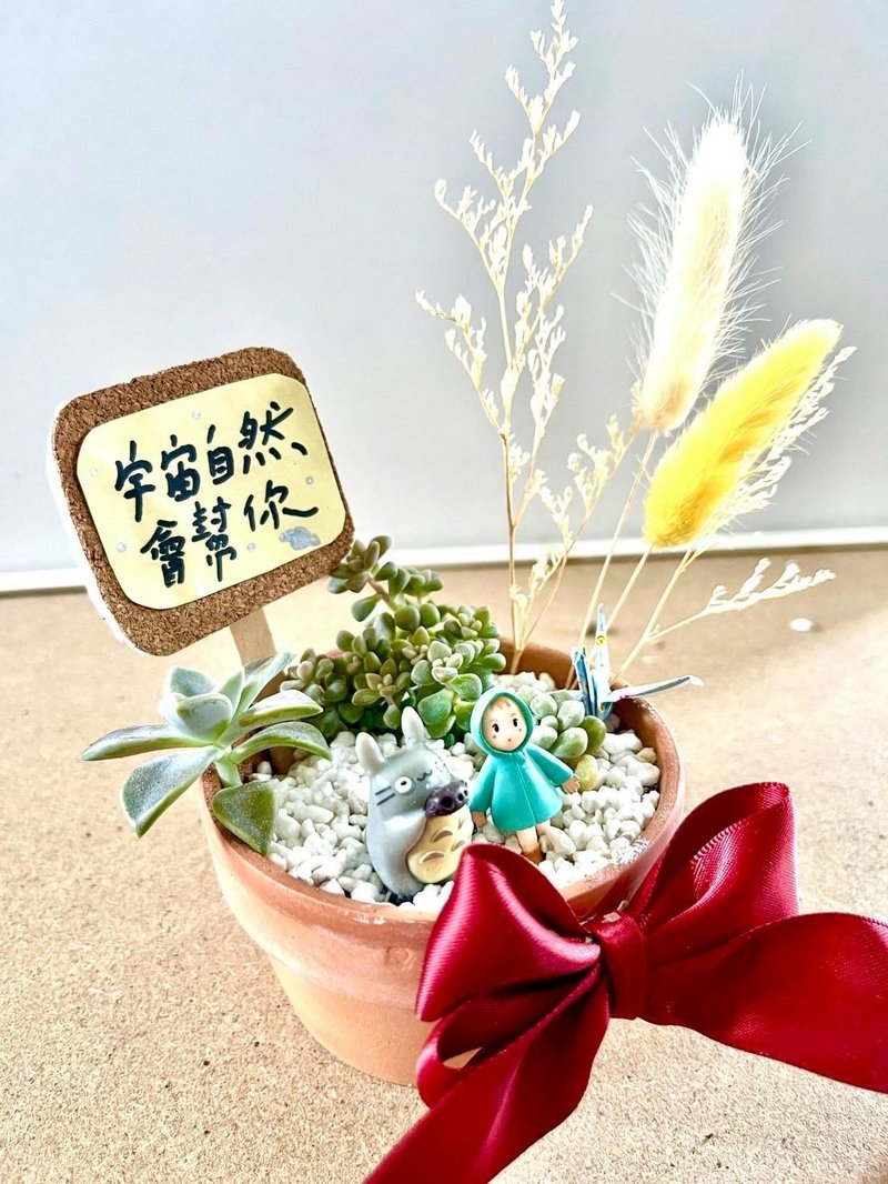 龙猫 小梅 台中 多肉组盆 多肉盆栽 多肉植物 生日送礼 圣诞礼物 - 植栽/盆栽 - 植物．花 绿色