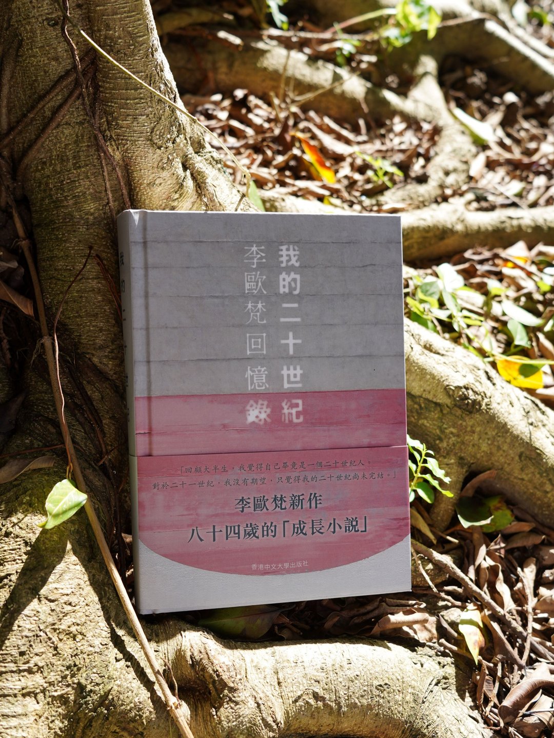 我的二十世纪:李欧梵回忆录/ 李欧梵 着 - 刊物/书籍 - 纸 