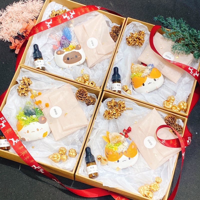 泥喵 水晶扩香盆景礼盒 交换礼物 圣诞礼物 香氛 无火香薰 永生花 - 香薰/精油/线香 - 水泥 白色