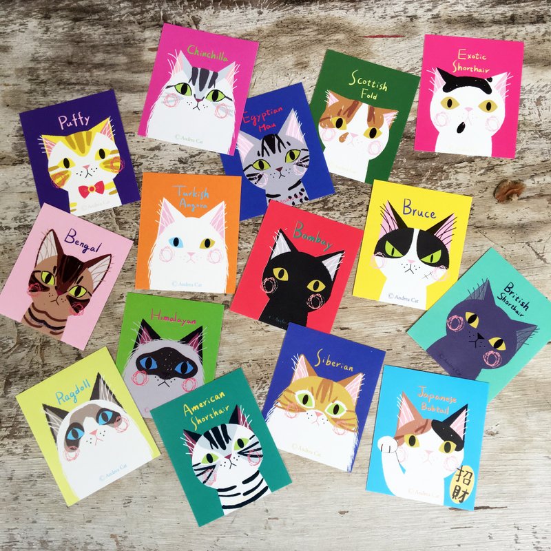 大头猫缤纷贴纸（一组15款，共30张） - 贴纸 - 纸 