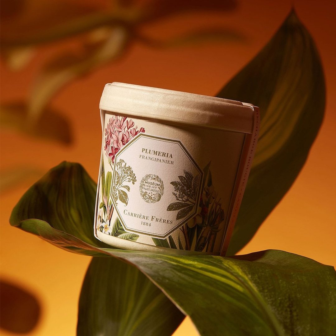 Carrière Frères 博物馆系列 缅栀花 蜡烛补充装 - 蜡烛/烛台 - 蜡 白色