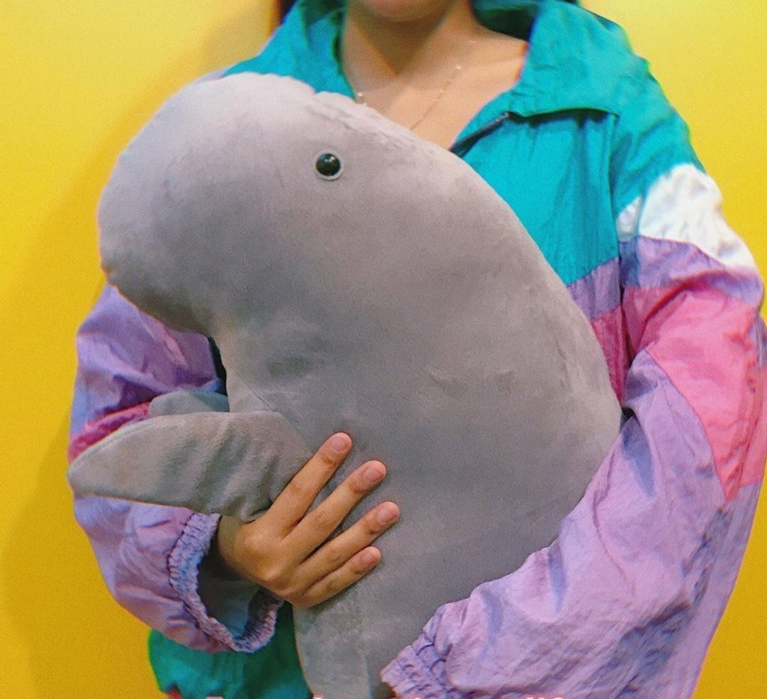 Dugong Plush Toy - 玩偶/公仔 - 聚酯纤维 灰色