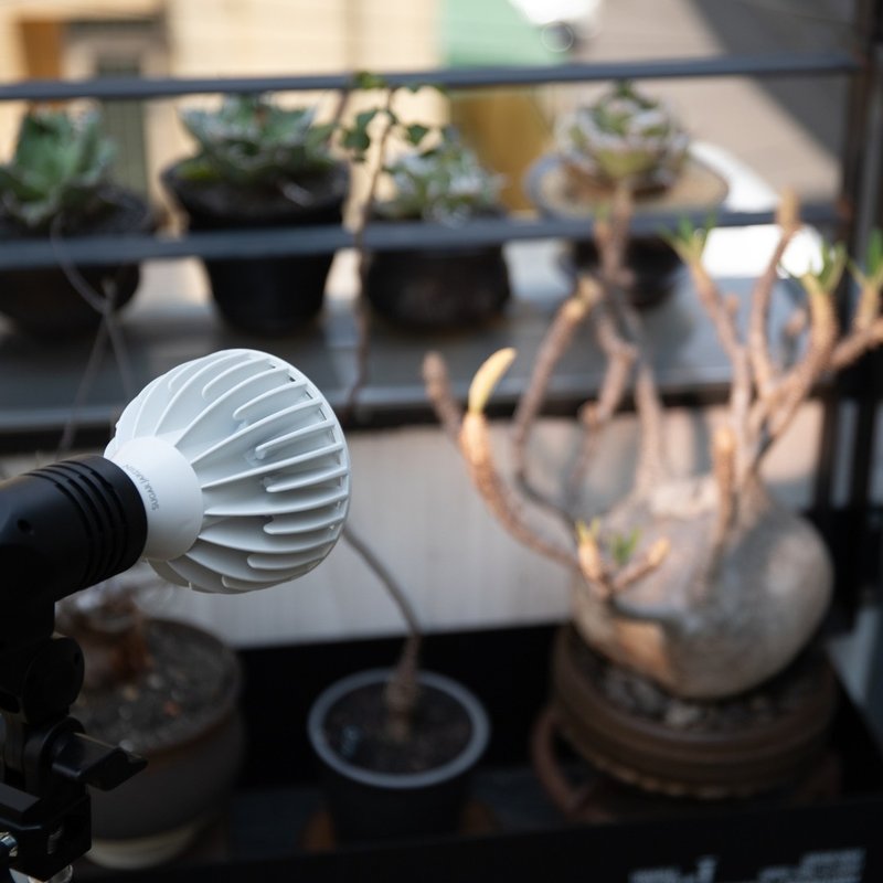 Alyna全光谱植物灯30W/植物生长灯灯架/男生礼物 - 灯具/灯饰 - 其他金属 