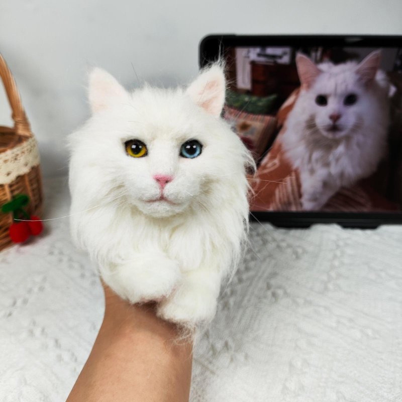 定制化礼物 逼真猫猫 羊毛毡 毛孩 宠物 娃娃 猫咪猫奴 似颜绘 d5 - 玩具 - 羊毛 多色