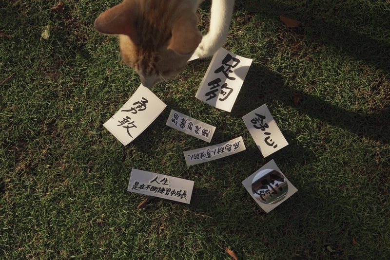 文字贴纸 - 贴纸 - 其他材质 白色