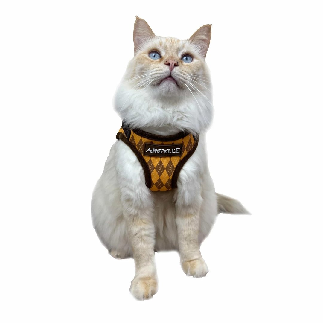 电影阿盖尔Argylle x Travel Cat猫旅行 联名款 猫专用背心+牵绳 - 项圈/牵绳 - 棉 