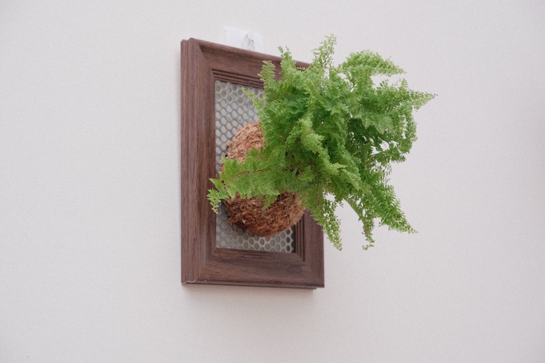 上板植物画框 - 植栽/盆栽 - 植物．花 