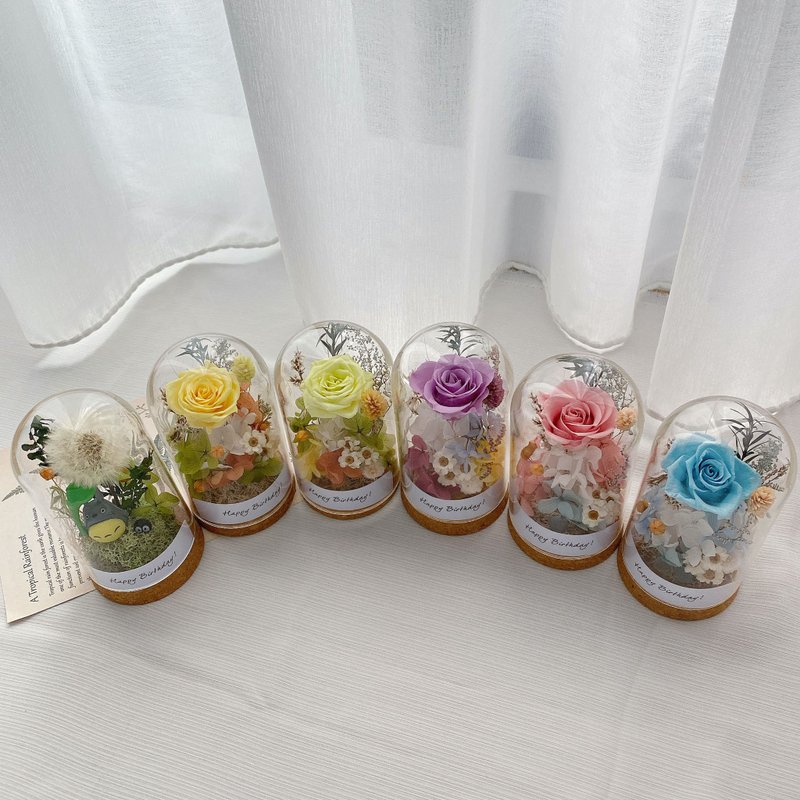 【定制化】永生玫瑰  迷你留言玻璃瓶 / 礼盒包装 - 干燥花/捧花 - 植物．花 粉红色