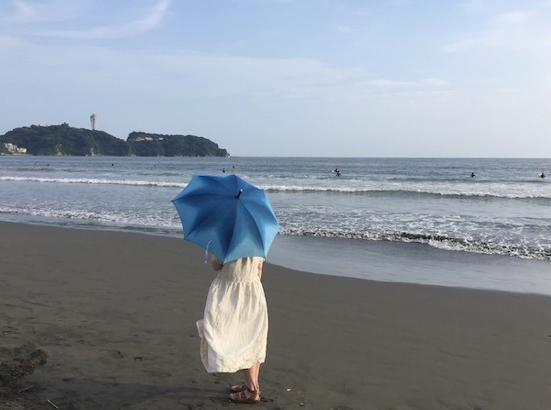 Parasol Parasol Indigo Aizen - In bloom - 其他 - 棉 蓝色