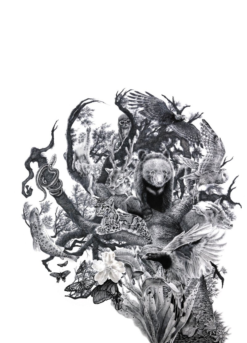 生生流转 海报 漫画海报 Poster 39*54(cm) 水性PP相纸(雾) - 海报/装饰画/版画 - 纸 