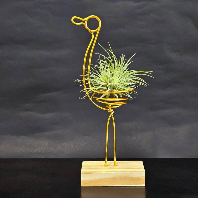 【金鹤报喜】含空凤 - 植栽/盆栽 - 其他金属 金色