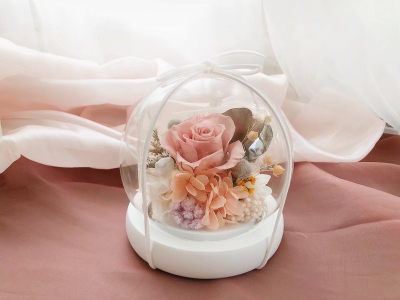 奶茶粉永生花 玻璃罩 永生玫瑰花 干燥花 永生花玻璃球 莫蓝迪色 - 干燥花/捧花 - 植物．花 粉红色