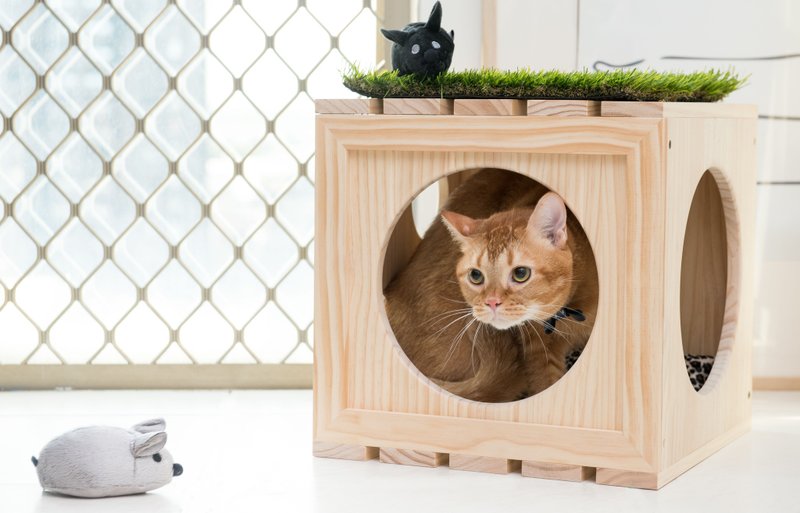 【拍拍】预购 WOODEN CUBE 原木方格柜+猫草小老鼠 - 其他 - 木头 咖啡色