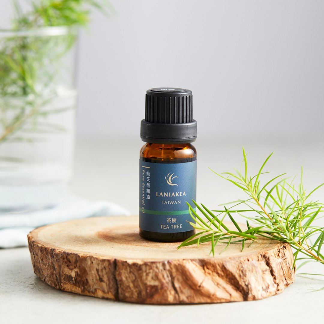 茶树 10ml -纯天然植物精油 | 芳疗 | 薰香 | 圣诞 | 交换礼物 - 香薰/精油/线香 - 玻璃 绿色